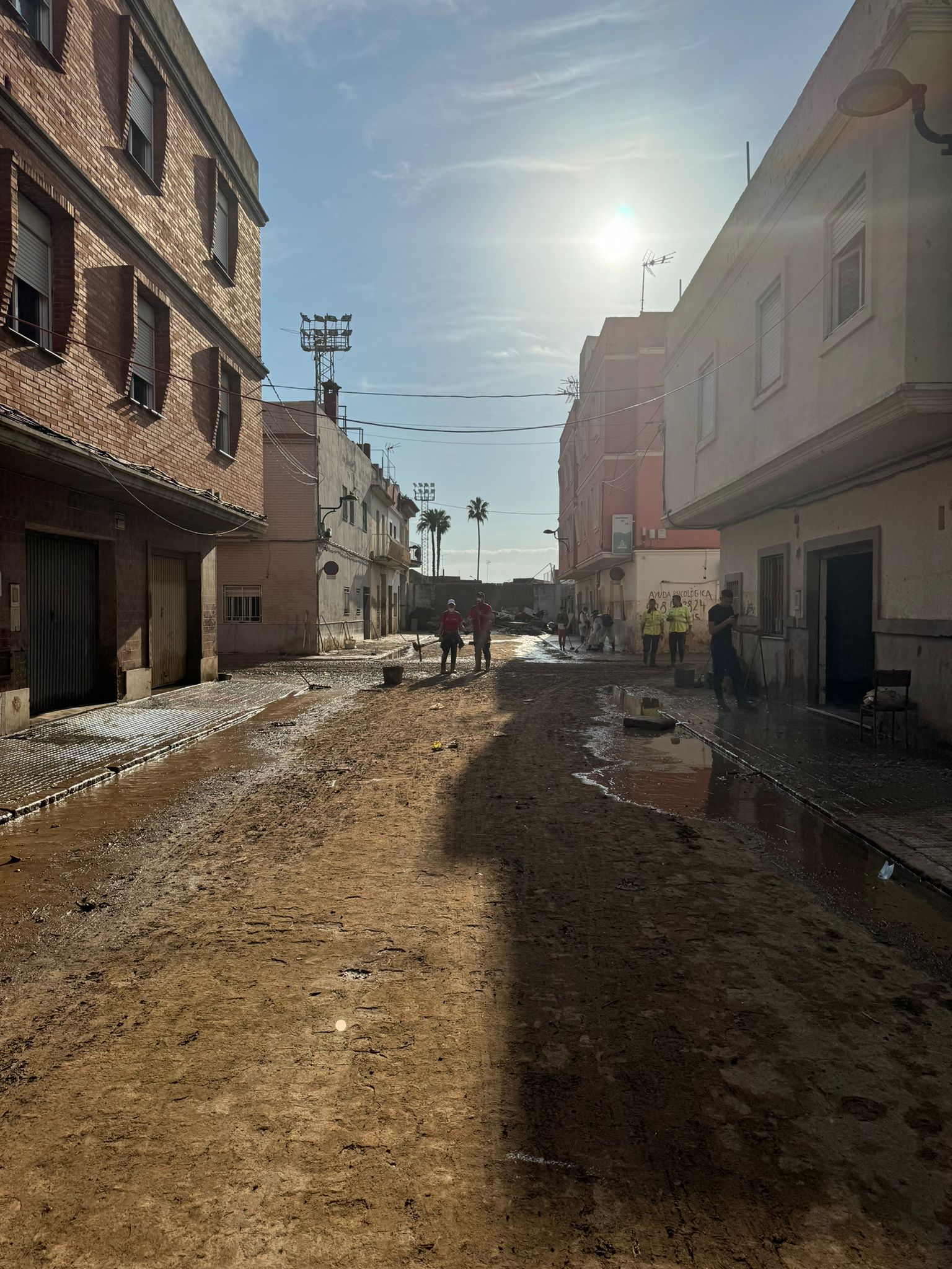 WhatsApp Image 2024-11-14 at 10.52.23 (1)