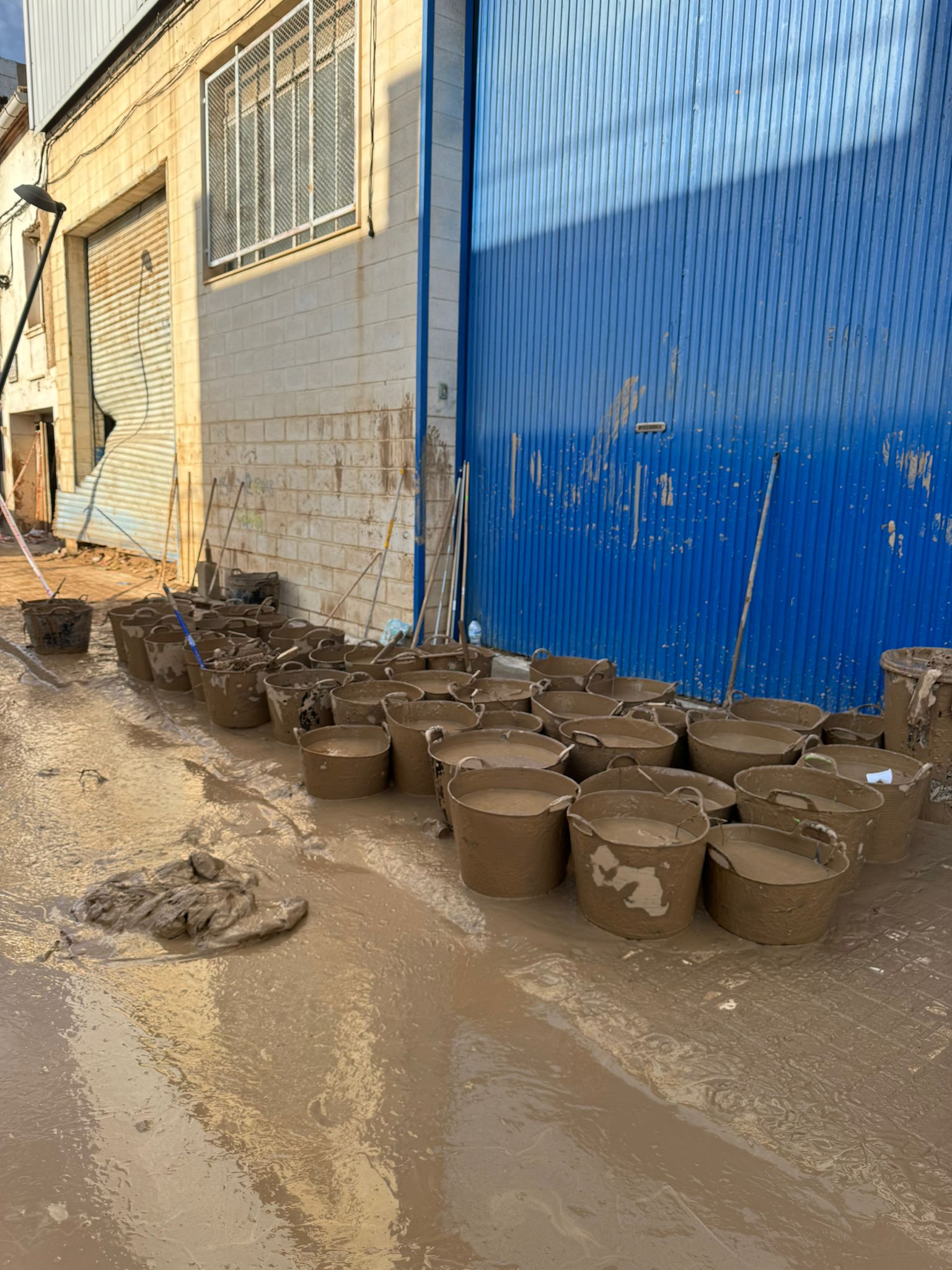 WhatsApp Image 2024-11-14 at 10.53.01